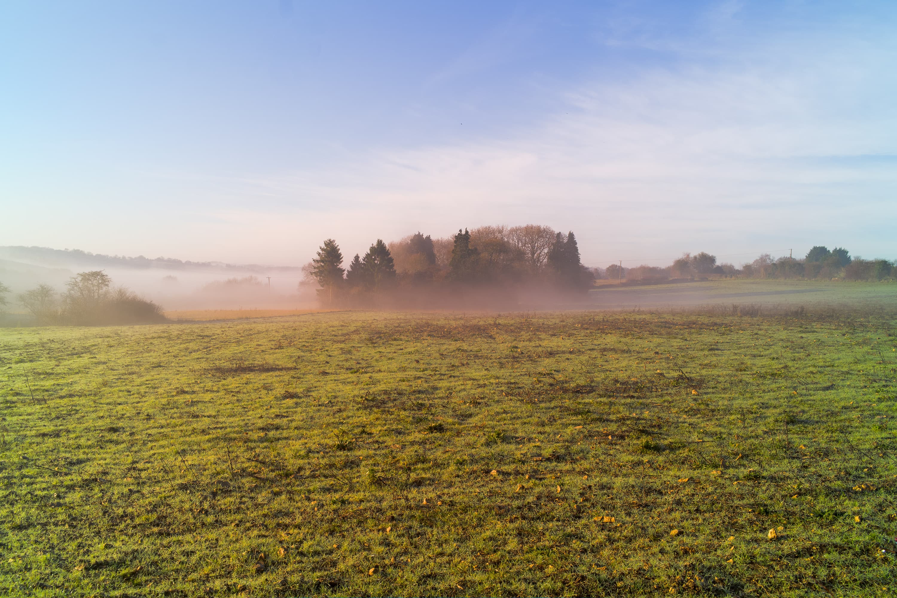 Testing the Pixii Max Rangefinder Camera on a Frosty Morning