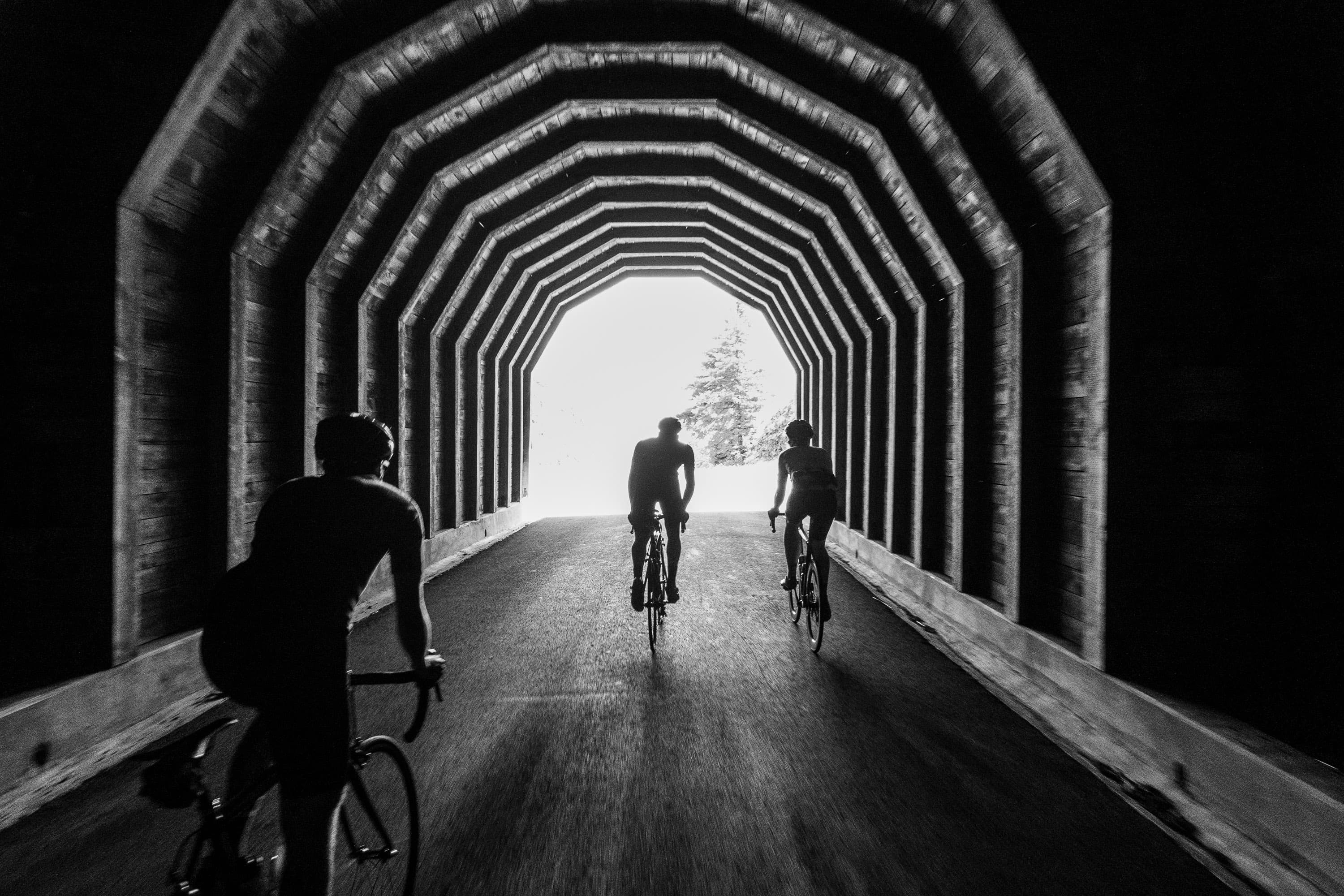 Three cyclists silhouetted inside a timber-ribbed tunnel, riding toward the bright opening where a fir tree stands in the light
