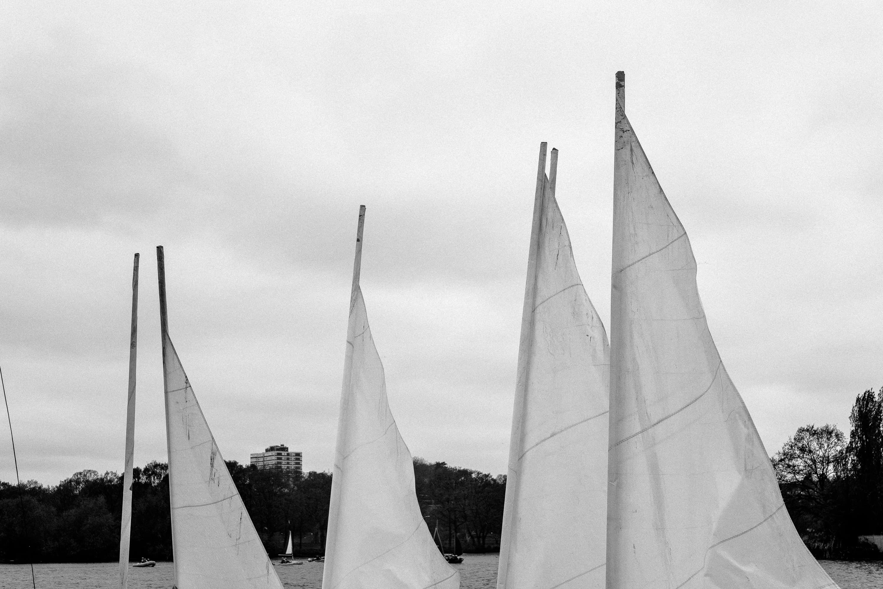A cluster of yacht sails on a flat-calm lake, white against grey sky, masts pointing up; a small distant building on a wooded shore
