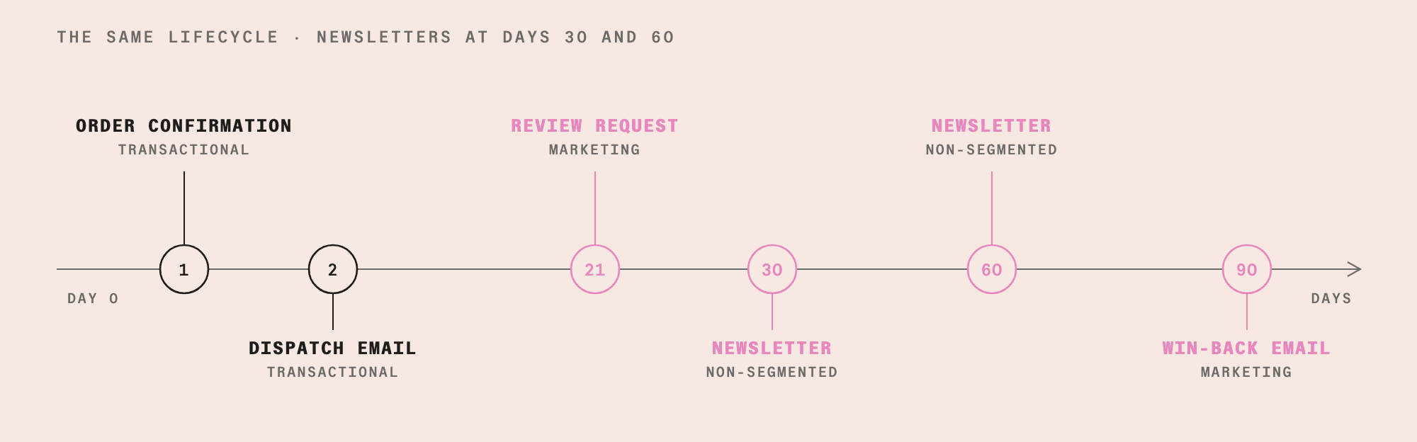 The same email lifecycle timeline with non-segmented newsletters added at days 30 and 60.
