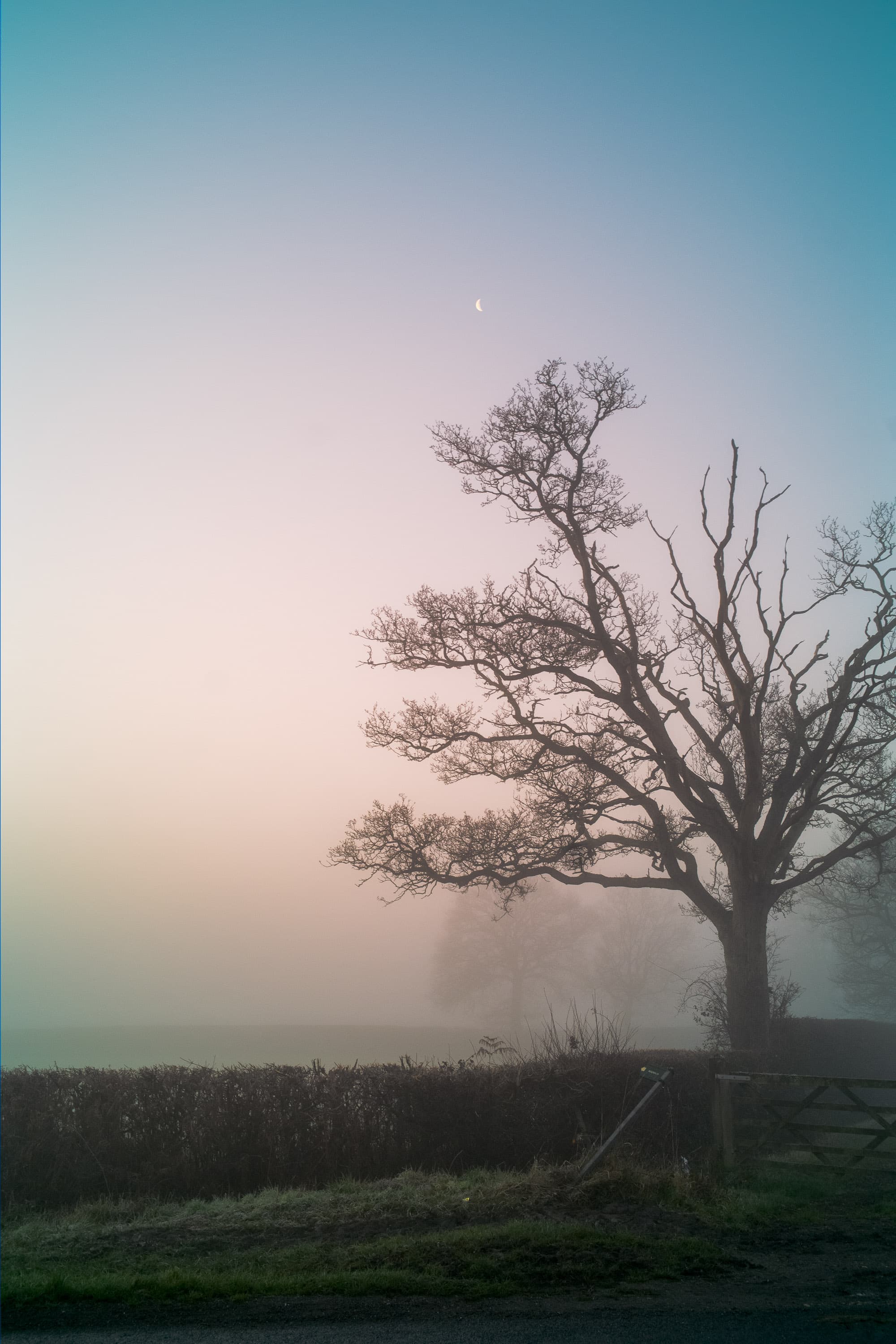 A crescent moon, a tree and a stone wall mark the start of a bike ride into the West Oxfordshire countryside with the Pixii Max camera.