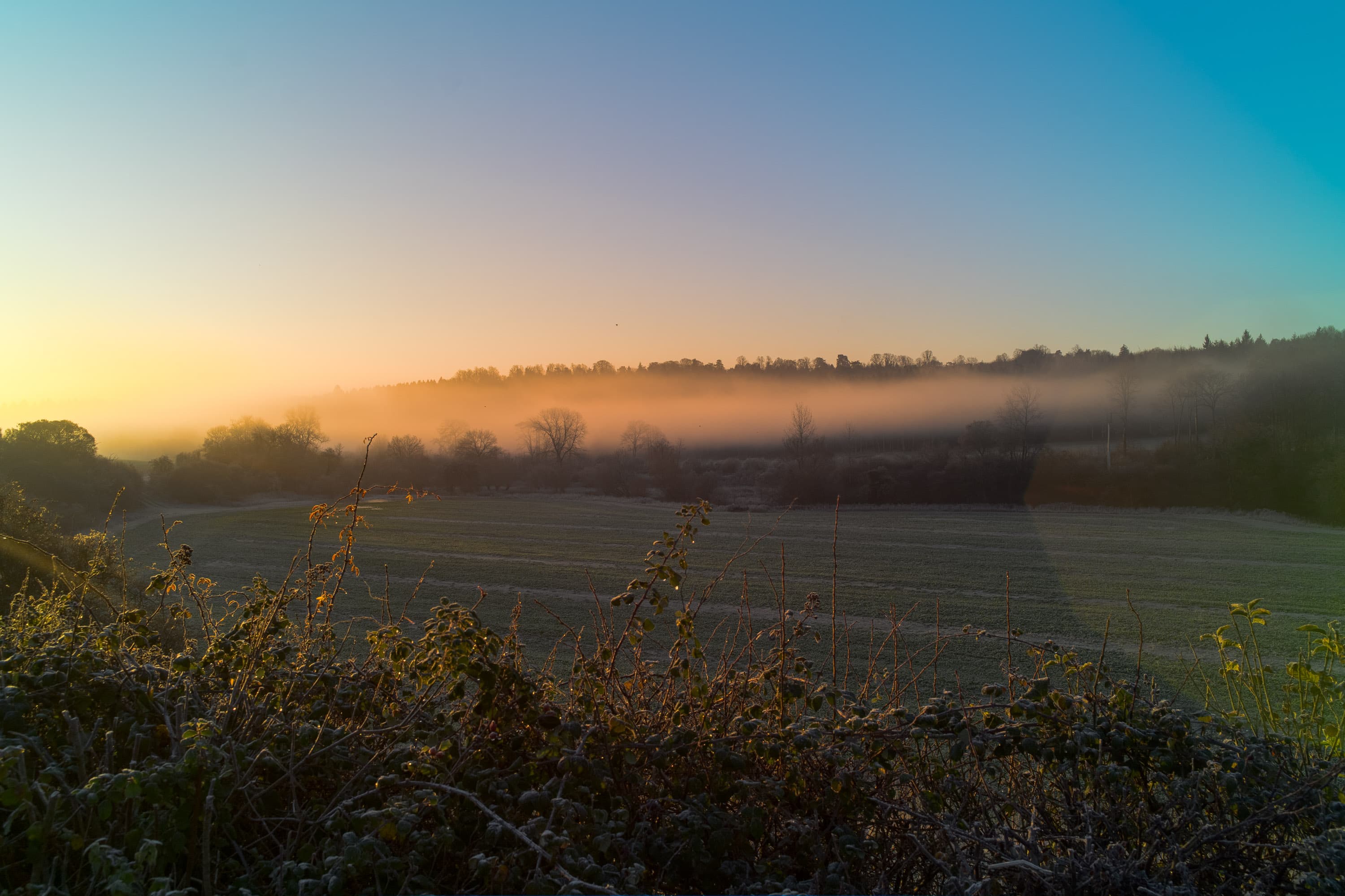 Frosty Oxfordshire hills, captured by the Pixii Max camera.